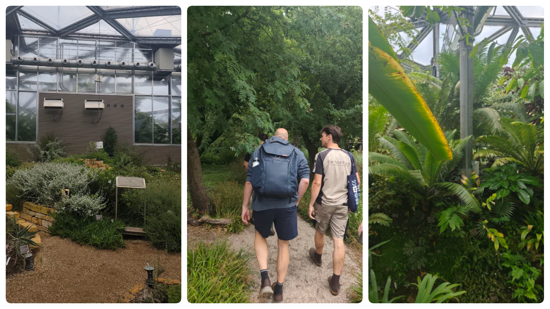 A trio of images showing the greenhouses and gardens at Hortus Botanicus.