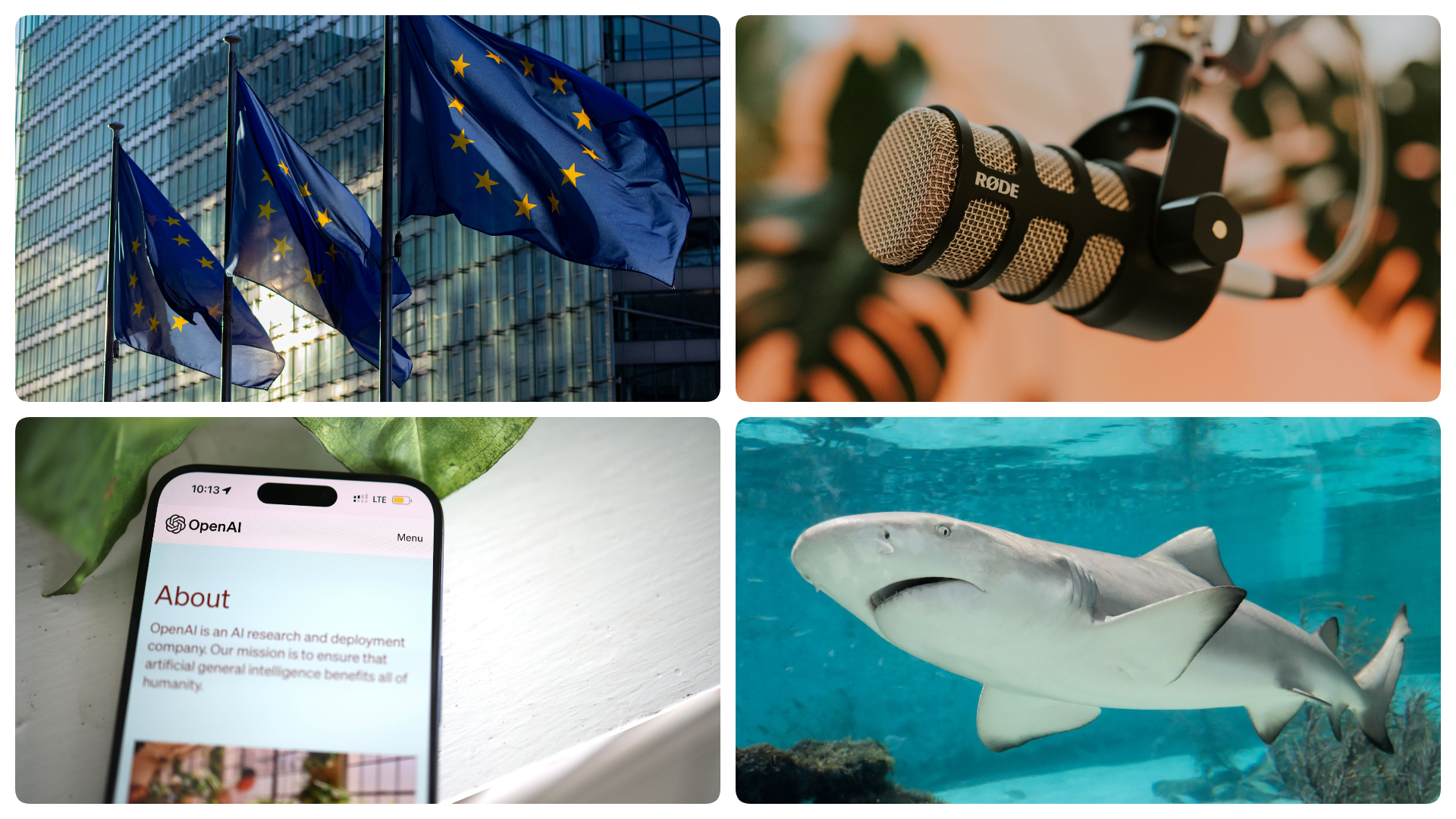 A collage of EU flags, a podcast mic, ChatGPT on a phone, and a shark, to represent some of this month's news stories