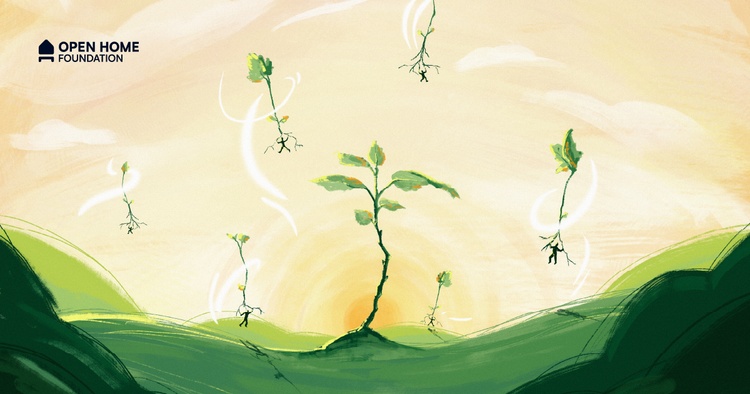 We sow the seeds, you grow the (open) home