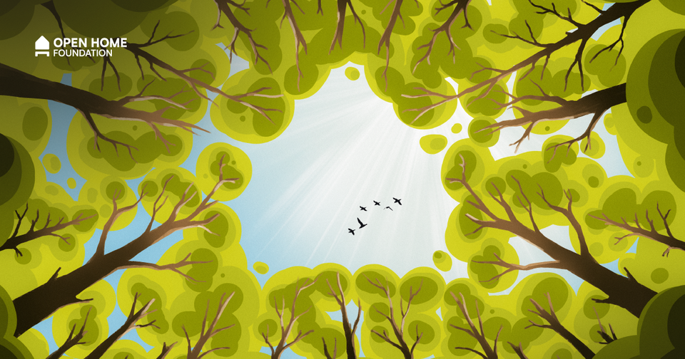 An illustration of birds flying free above a forest, representing breaking free from the disposable smart home.
