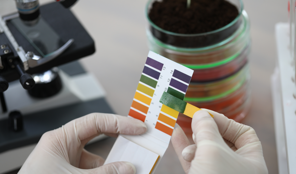 Performance Over Promises: Where Agentic AI Actually Wins