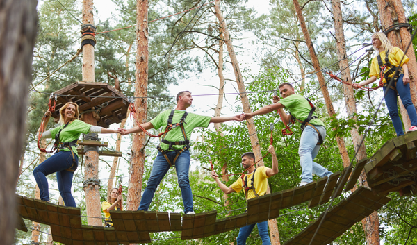 How Startups Can Best Leverage Their Strategic Advisors and Investors