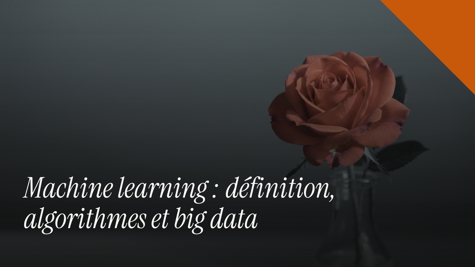 Machine learning : définition, algorithmes et big data