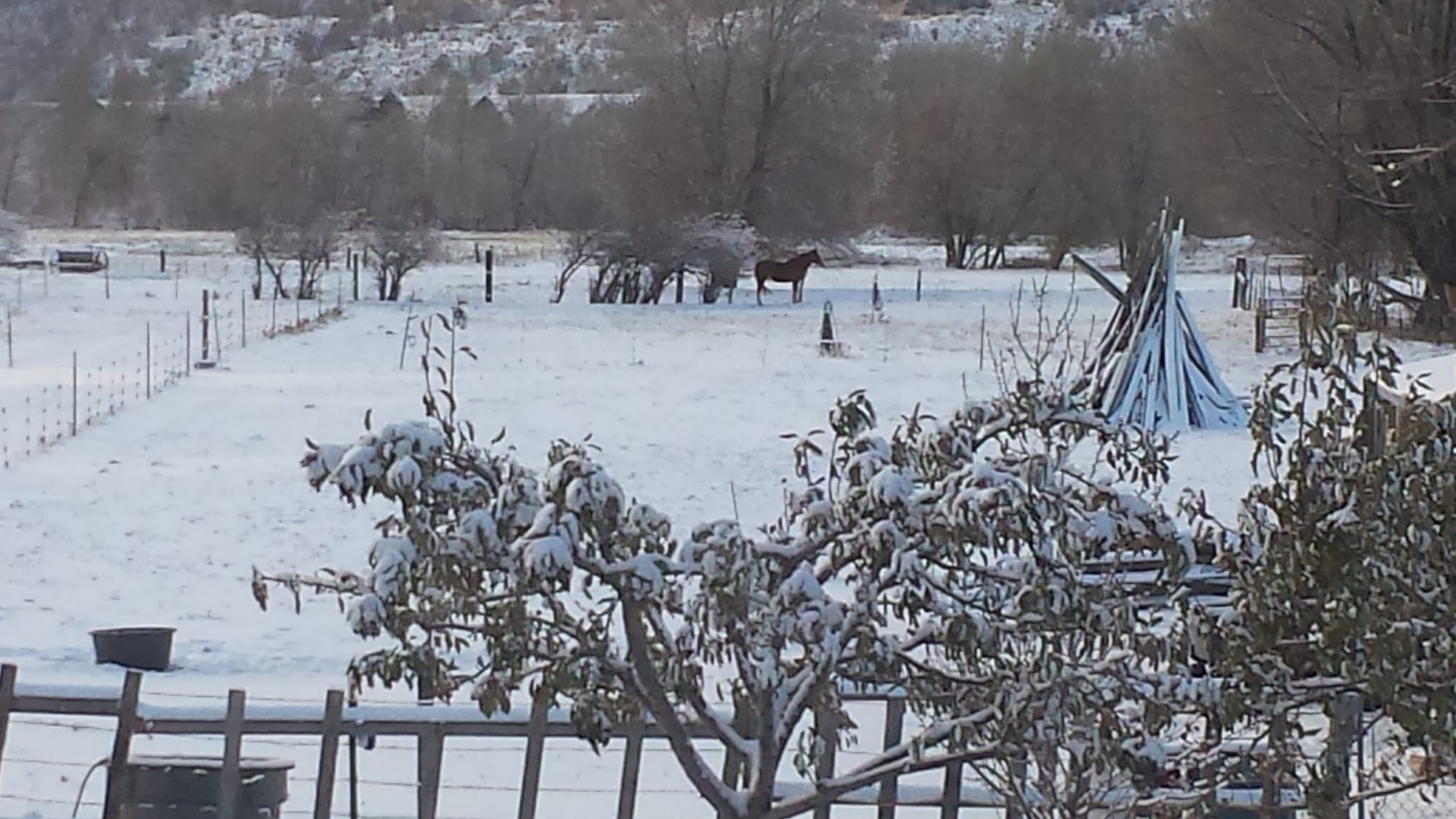 Thanksgiving Snow