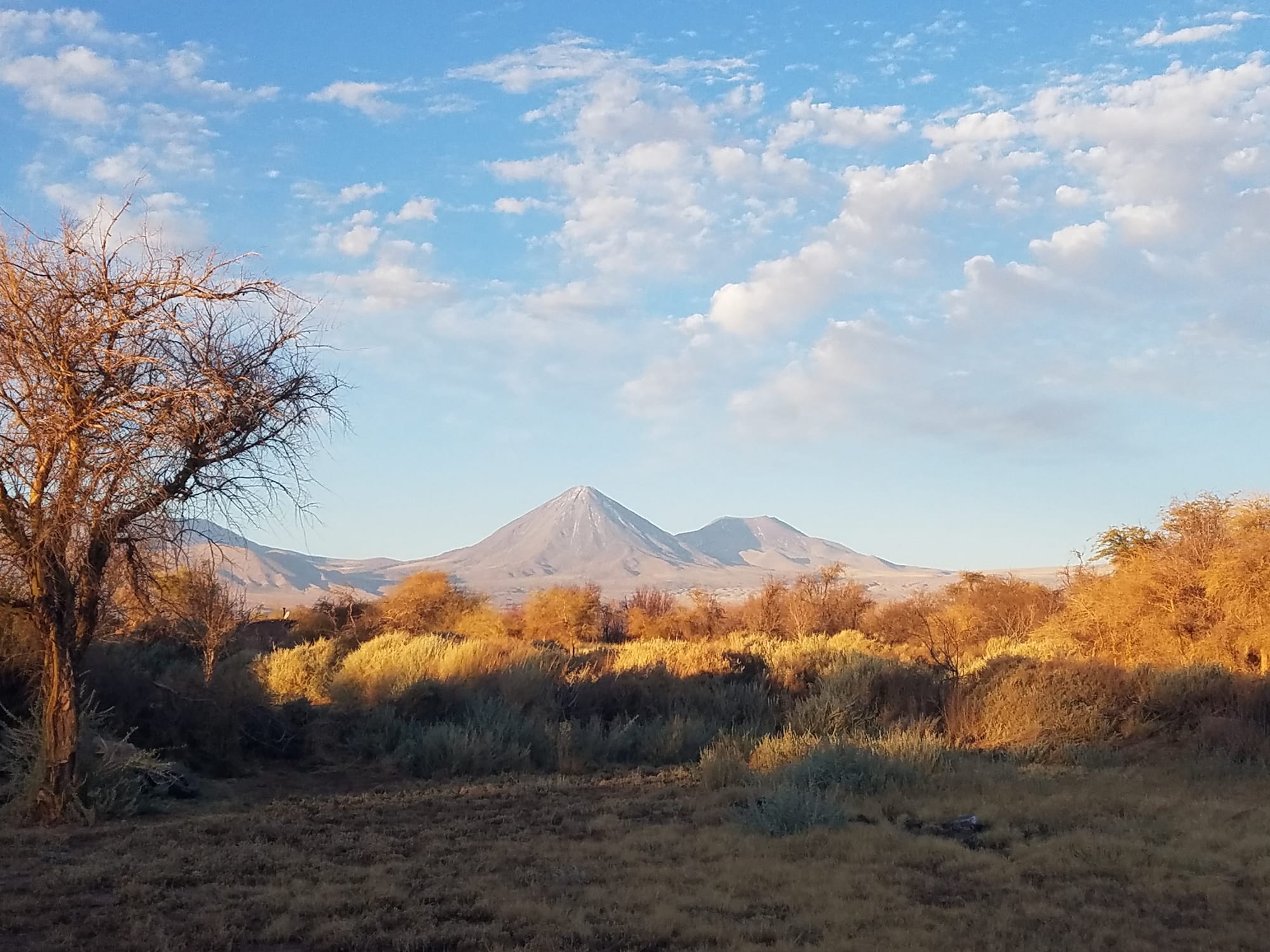 Our Volcanic View