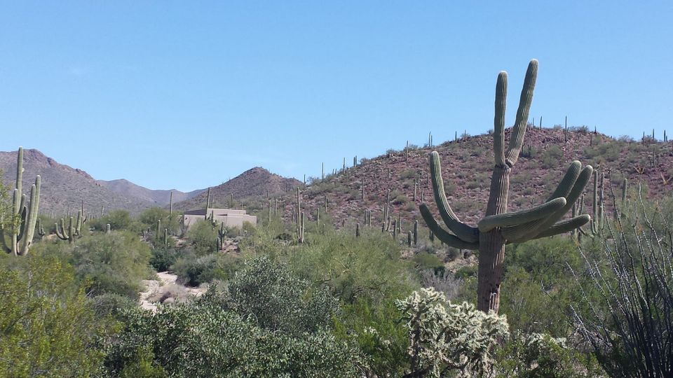 Tucson Business Trip