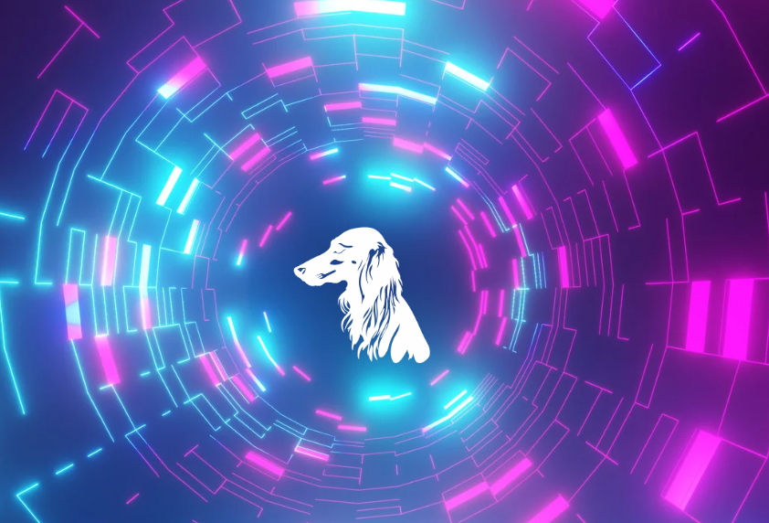 UnderDawg Bites: A Quick Recap of Recent Content