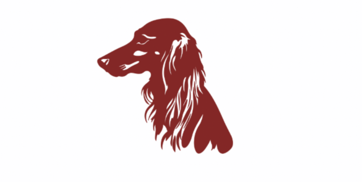 Predicting the Dawgs’ Starting Five: Who Will Lead SIU’s New Era at Banterra?