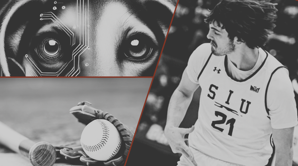 UnderDawg Bites: A Quick Recap of Recent Content