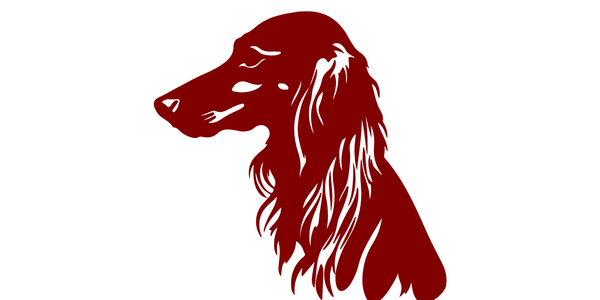 Portal Updates + Rumors: What’s Next for Saluki Basketball?