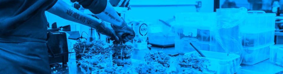 Dark kitchens: from software to physical cloud