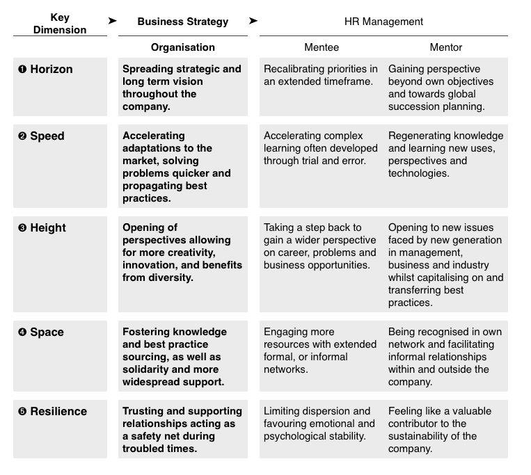 Strategic Mentoring