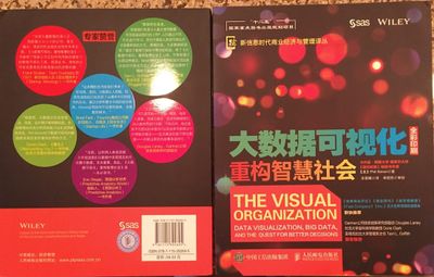 The Visual Organization: Chinese Version