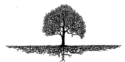 6 Radical Ways to Reduce E-Mail