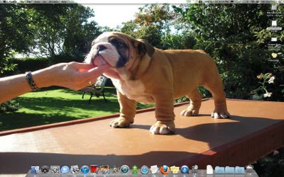 My Mac Transition, II: Getting Stronger