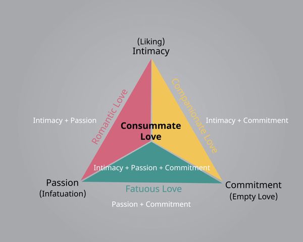 Which Relationship Are You Actually In?
