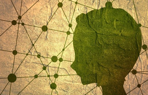 How Trauma Rewrites Your Blood Chemistry