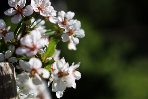 Siden er under utvikling