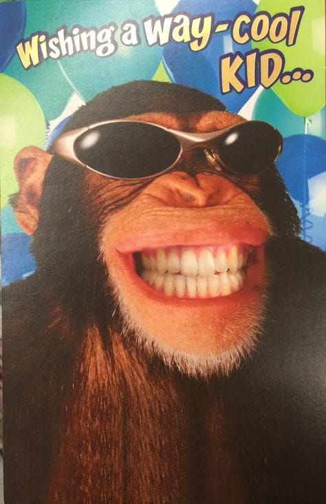 Are you laughing?