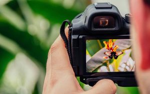 Os 3 Pilares da Fotografia e Como Aprender