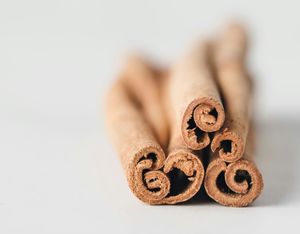 O que é Macrofotografia? Veja Usos