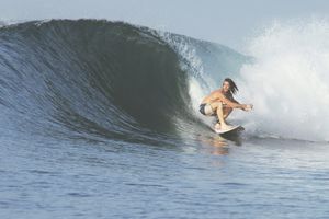 Os Diferentes Tipos de Pranchas de Surf