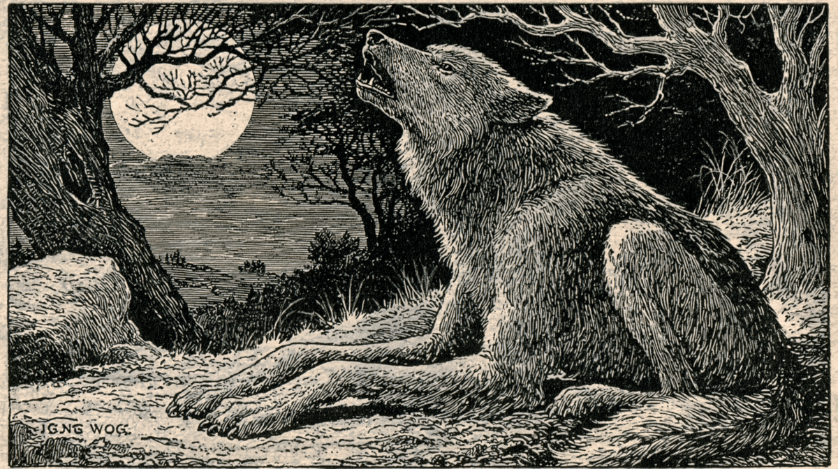 A History of the Werewolf Story