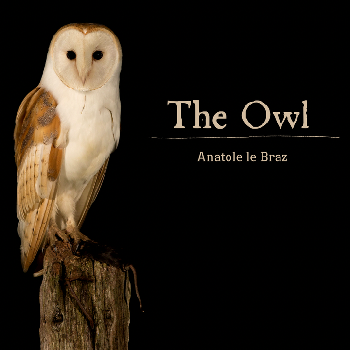 The Owl by Anatole le Braz