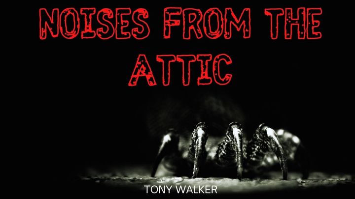 Noises From The Attic