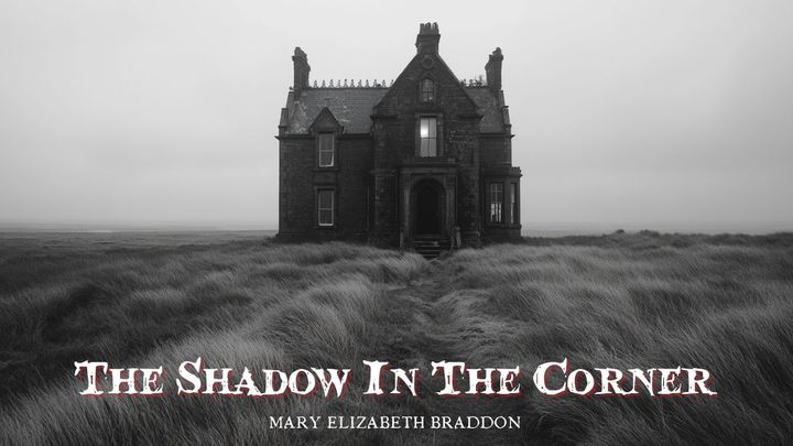 The Shadow In The Corner by Mary Elizabeth Braddon