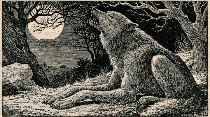 A History of the Werewolf Story