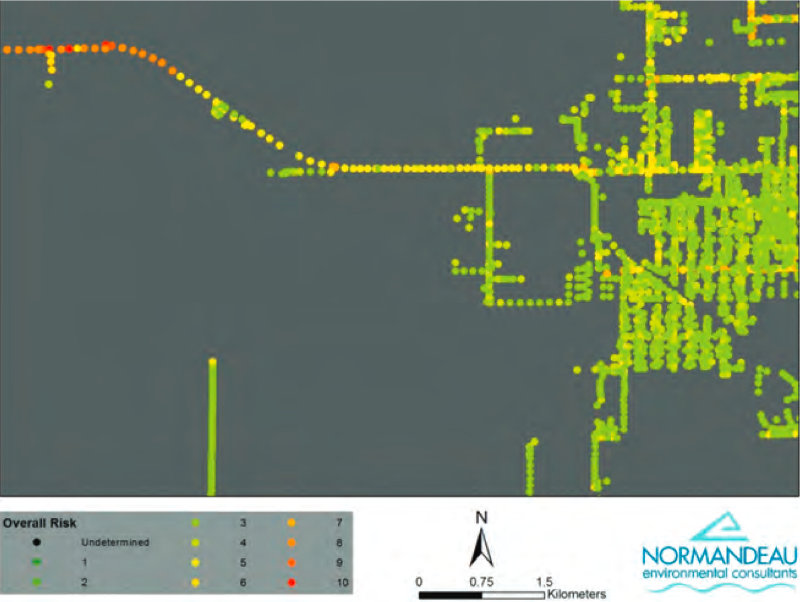 Section of distribution poles showing the relative electrocution risk ranking for bald eagles and wood storks