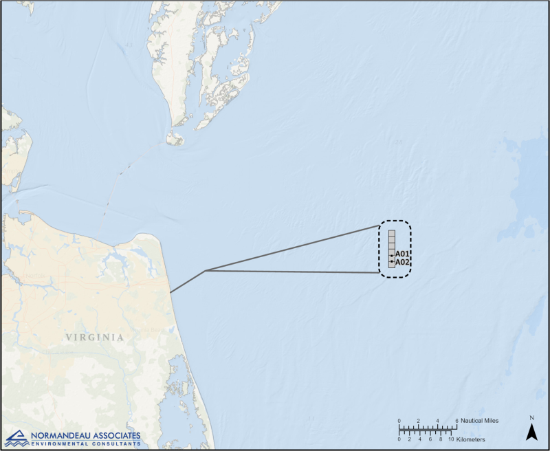 Offshore wind project in Virginia United States / Normandeau Associates, Inc.