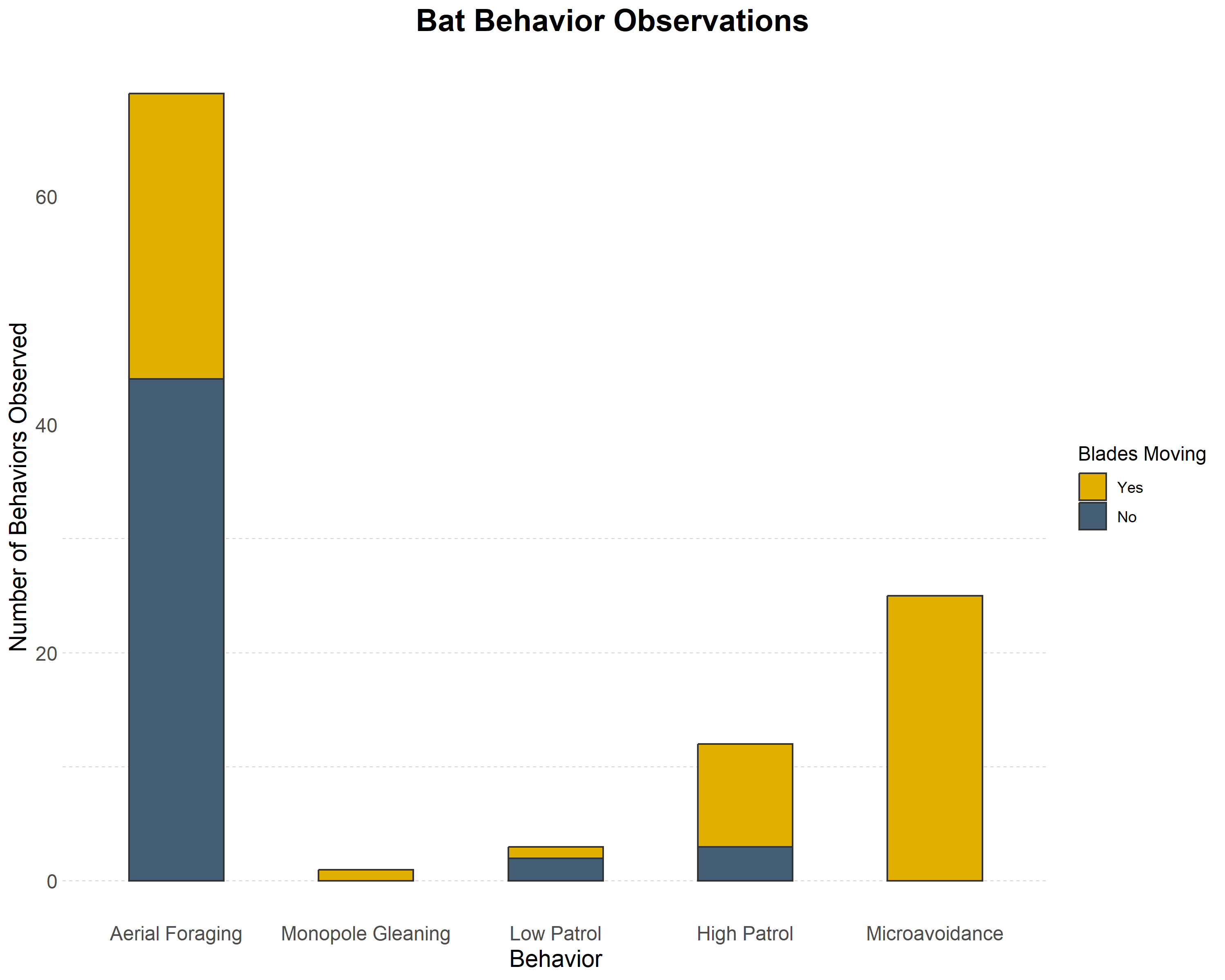 Bat flight behaviors observed during the first year of study. / Normandeau Associates, Inc.