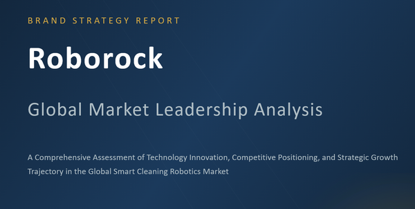 Roborock Brand Analysis