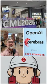 ICML: The call is from inside the model