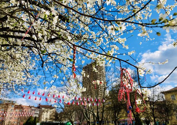 Spring awakening in Sofia