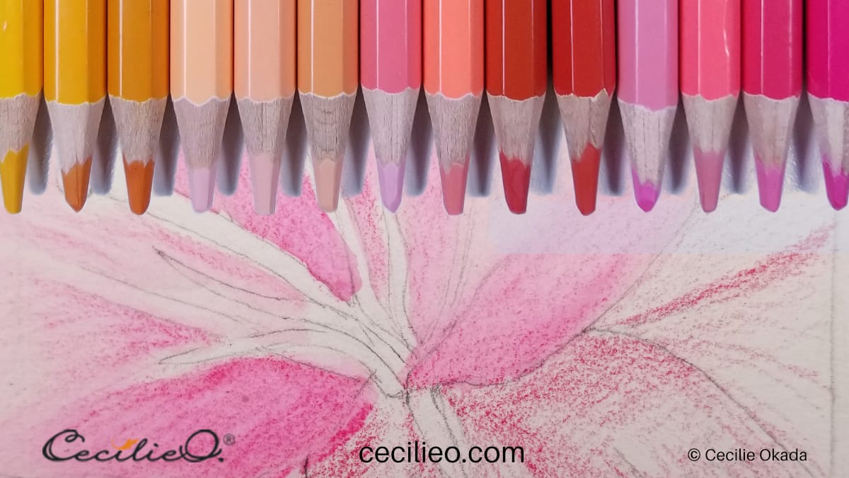 Hands-on: How to Use Watercolor Pencils - Cecilie Okada Design