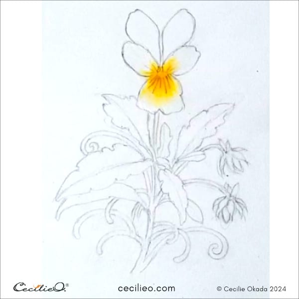 Watercolor the yellow center of the flower first, and let it dry.