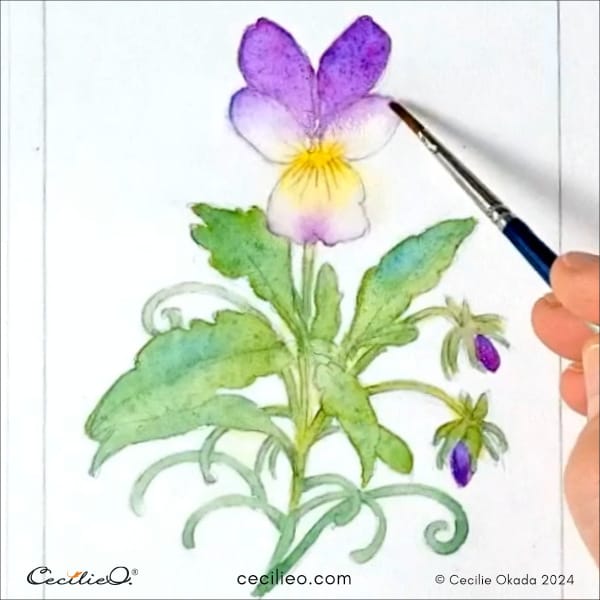 Watercolor the purple petals.