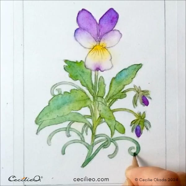 Draw a new outline with a hard pencil.