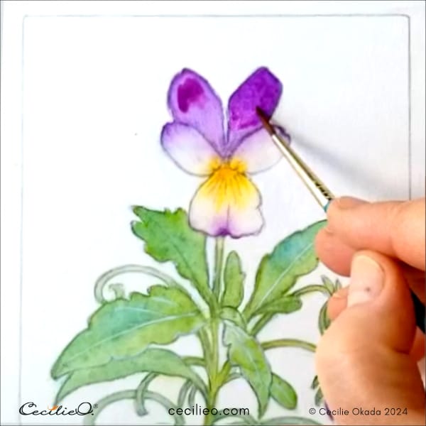 Make corrections. Here with purple watercolor.
