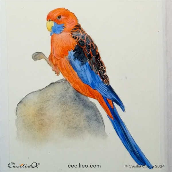 The watercolor parrot with colored pencils highlights.