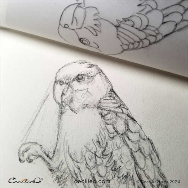 Tracing a clean outline over a messy sketch.