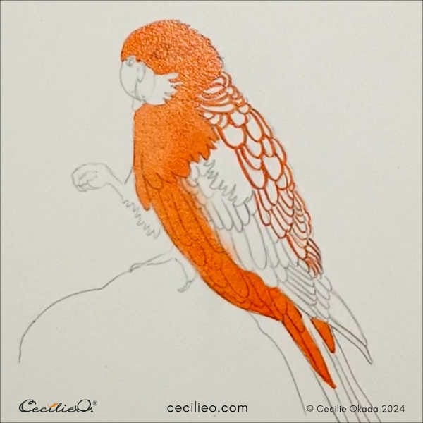 Painting the parror with red watercolor.