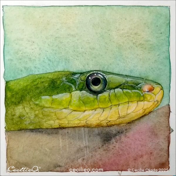 Drawing and painting more highlights