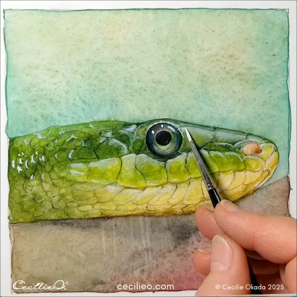 Painting further highlights