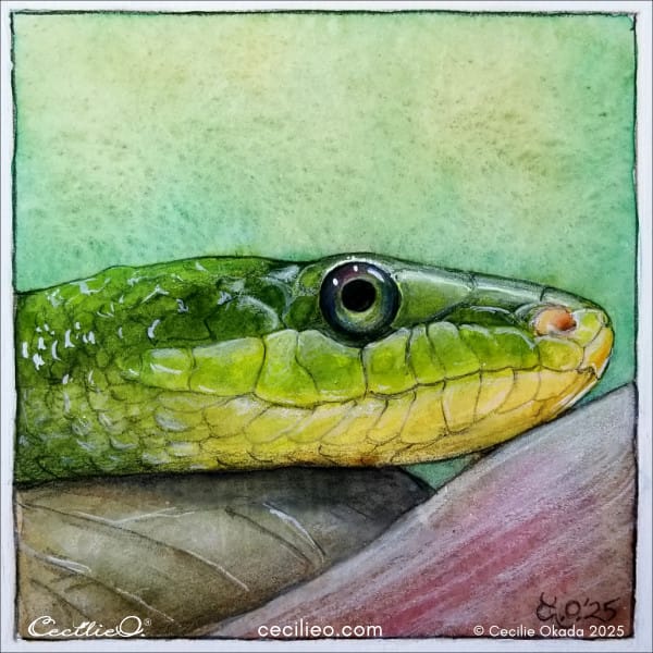 The completed watercolor and colored pencil painting of a green snake close-up.