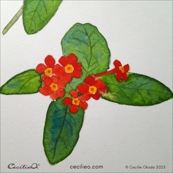 Painting the red flower petals 3