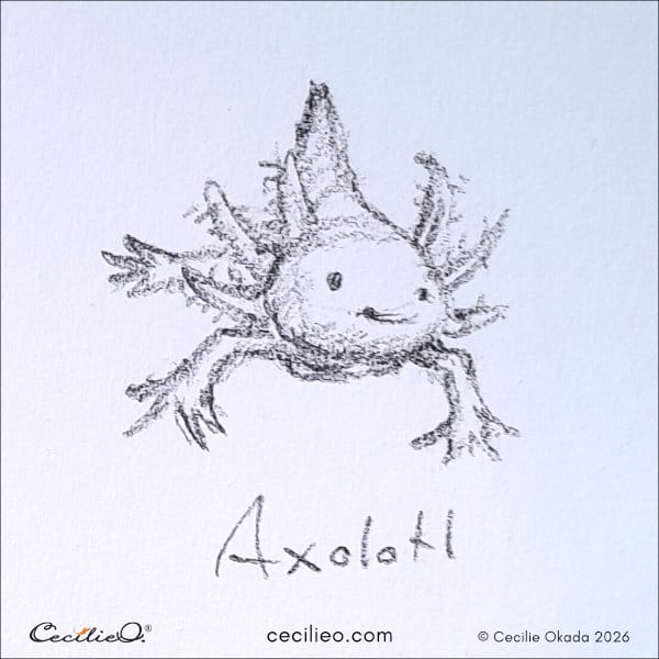 Simple, smiling axolotl sketch showing forward momentum and charm.